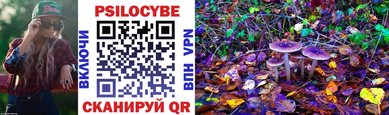 где продают наркотики  Новосокольники  Галлюциногенные грибы Psilocybe 